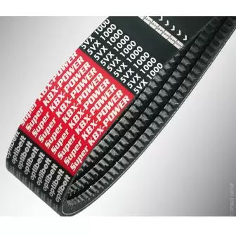 Banded Bantlı V Kayış resim 1